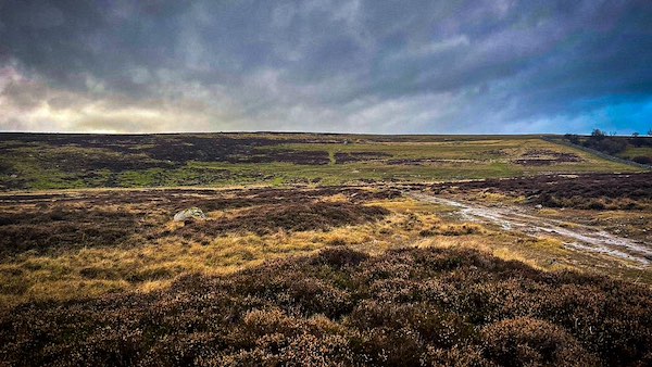 Coalpit Hill, above Black Dub