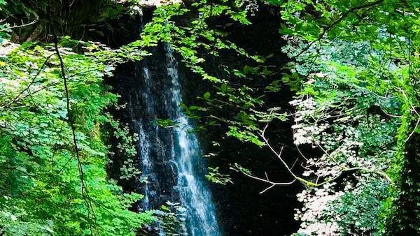 Falling Foss, Littlebeck Wood