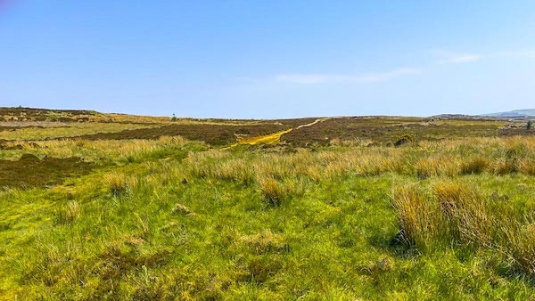 Looking over Carlton Moor to Bilsdale Moor