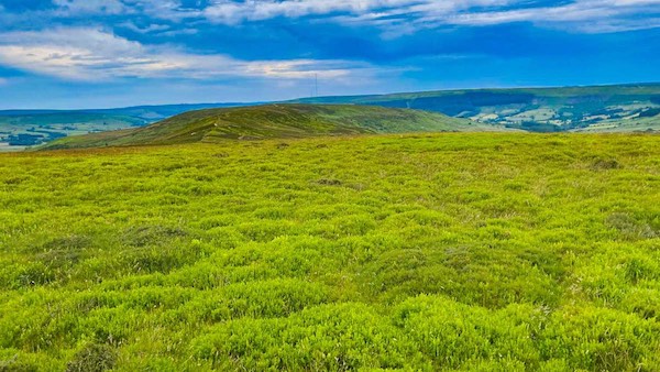 North end of Cold Moor