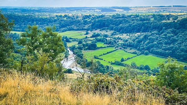 River Swale from Willance